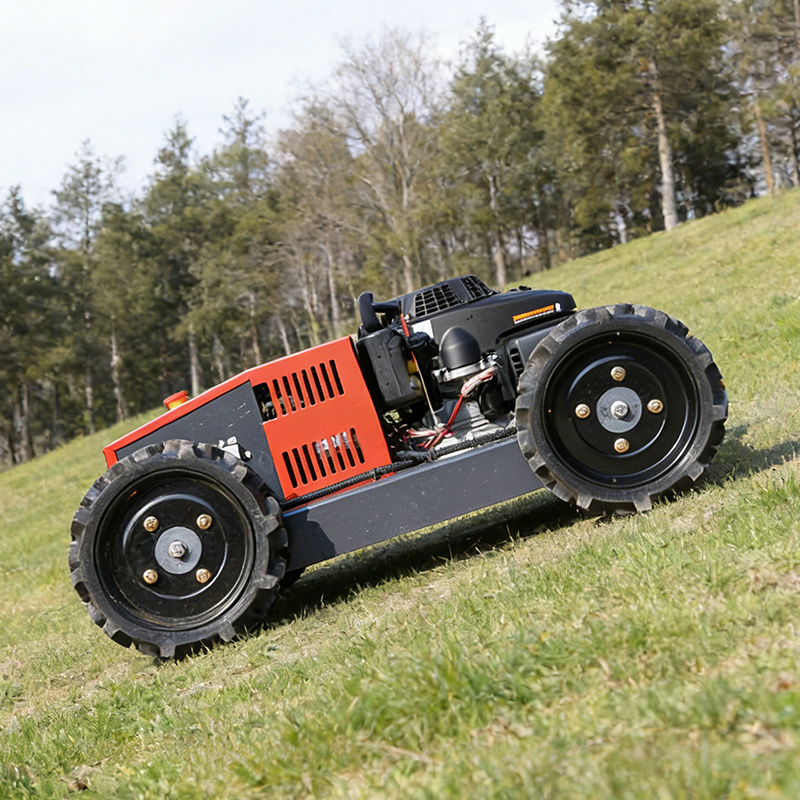 Nuovi Prodotti Personalizzati: - Agriculture Farming Products recensione e prezzo