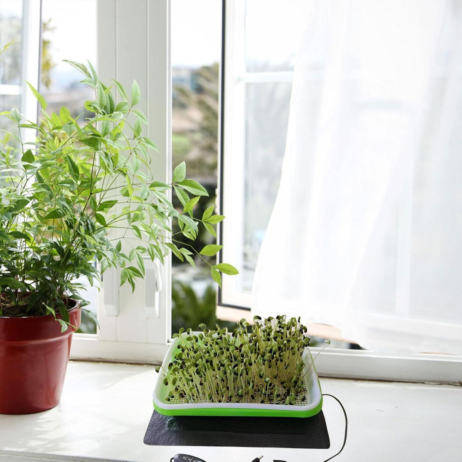 Tappetino Riscaldante Idroponi - Seedling Heat Mat recensione e prezzo